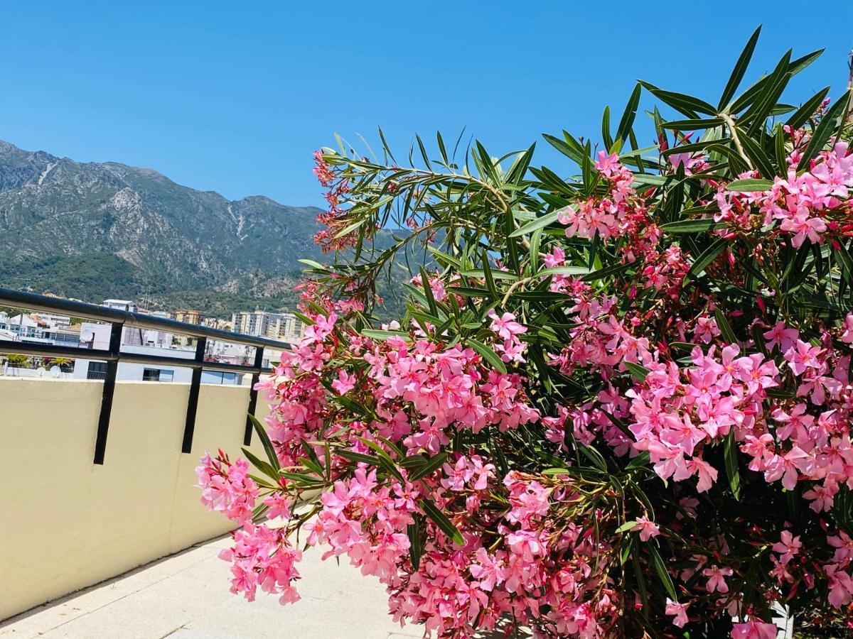 First Line! Art-apartment On The Seafront Of With Swimming Pool Appartamento